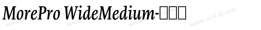 MorePro WideMedium字体转换